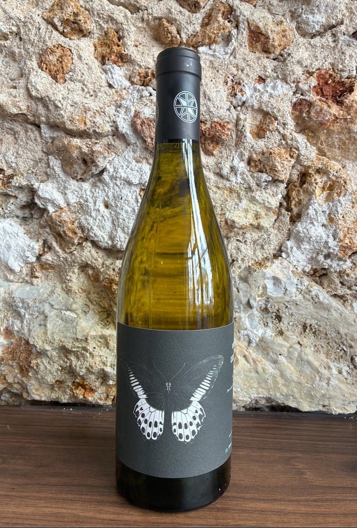 Carignan Blanc 2023 - Domaine Ledogar - Xavier, Mathieu & Benoît Ledogar 