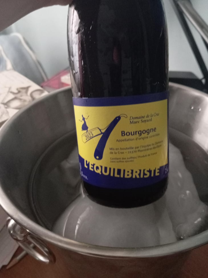 L'Équilibriste Rouge - Domaine de la Cras - Marc Soyard 