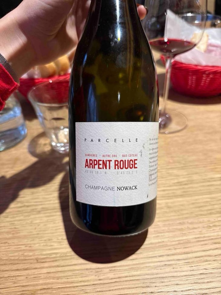 Les Arpents Rouges - Domaine Nowack - Flavien Nowack 