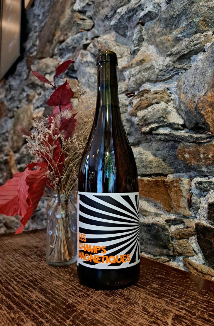 Les Champs Magnetiques 2021 - Val de Combrès - Valentin L. -2021