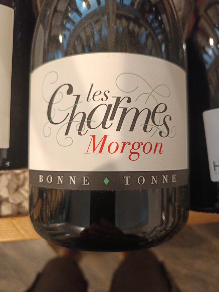 Les Charmes - Domaine de la Bonne Tonne - Thomas & Anne Laure Agatensi 