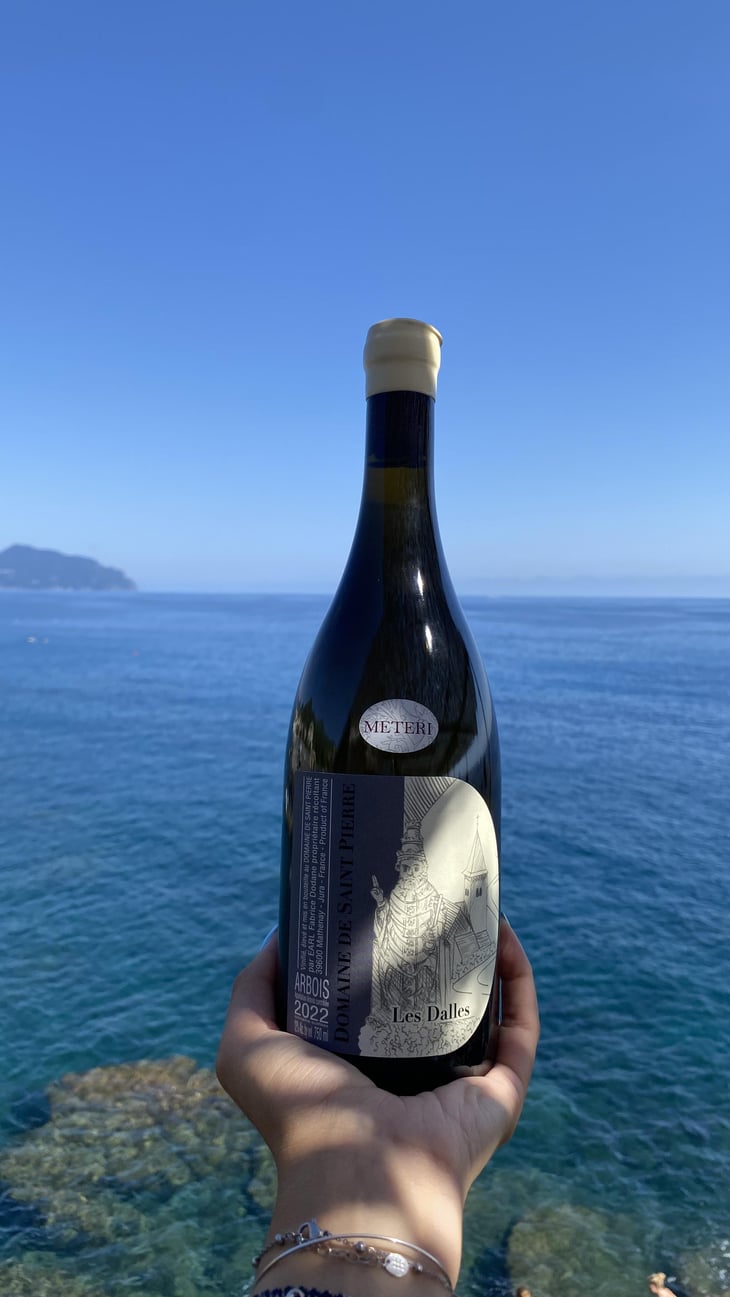 Les Dardelles - Clos des Vignes du Maynes - Julien Guillot 