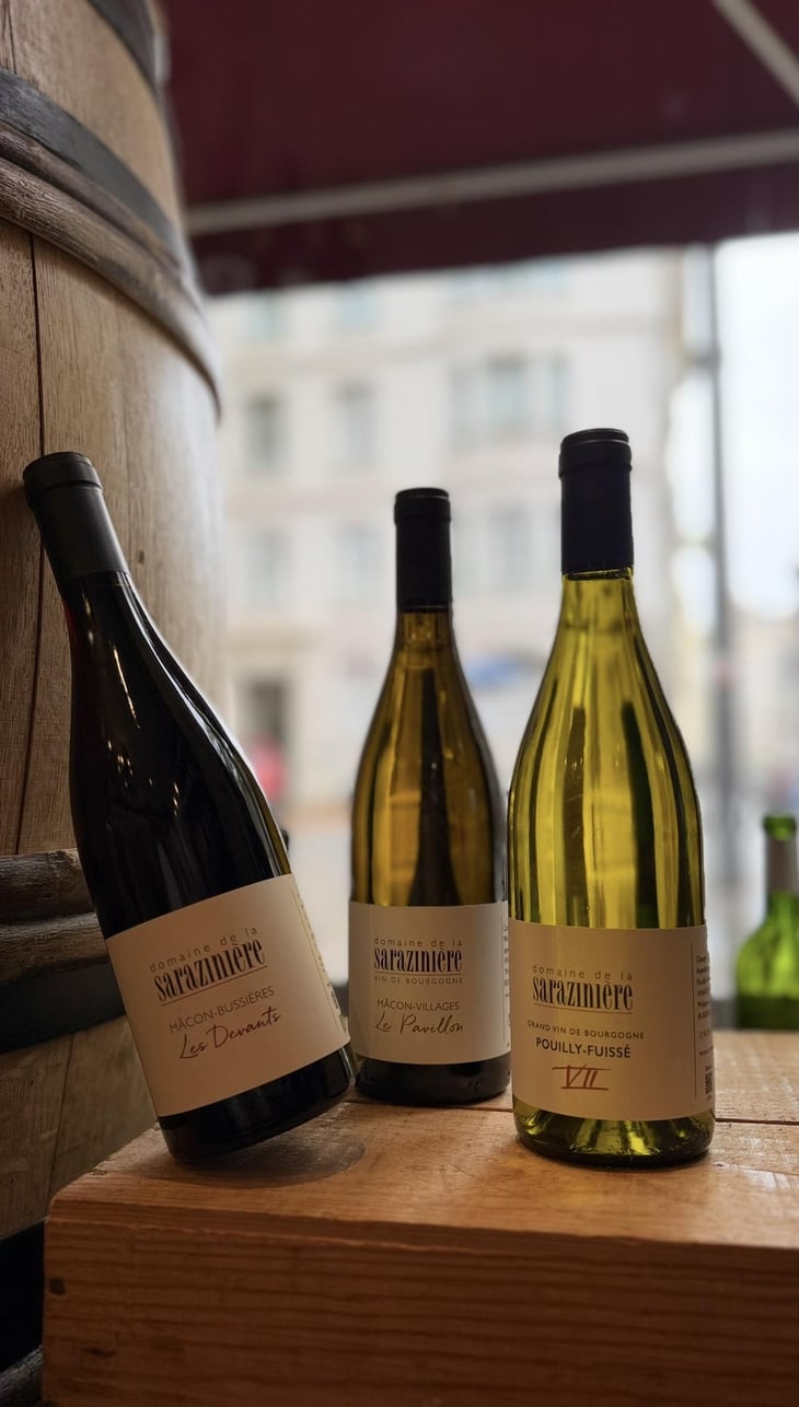 Les Devants - Domaine de la Saraziniere - Philippe & Guillaume Trebignaud 