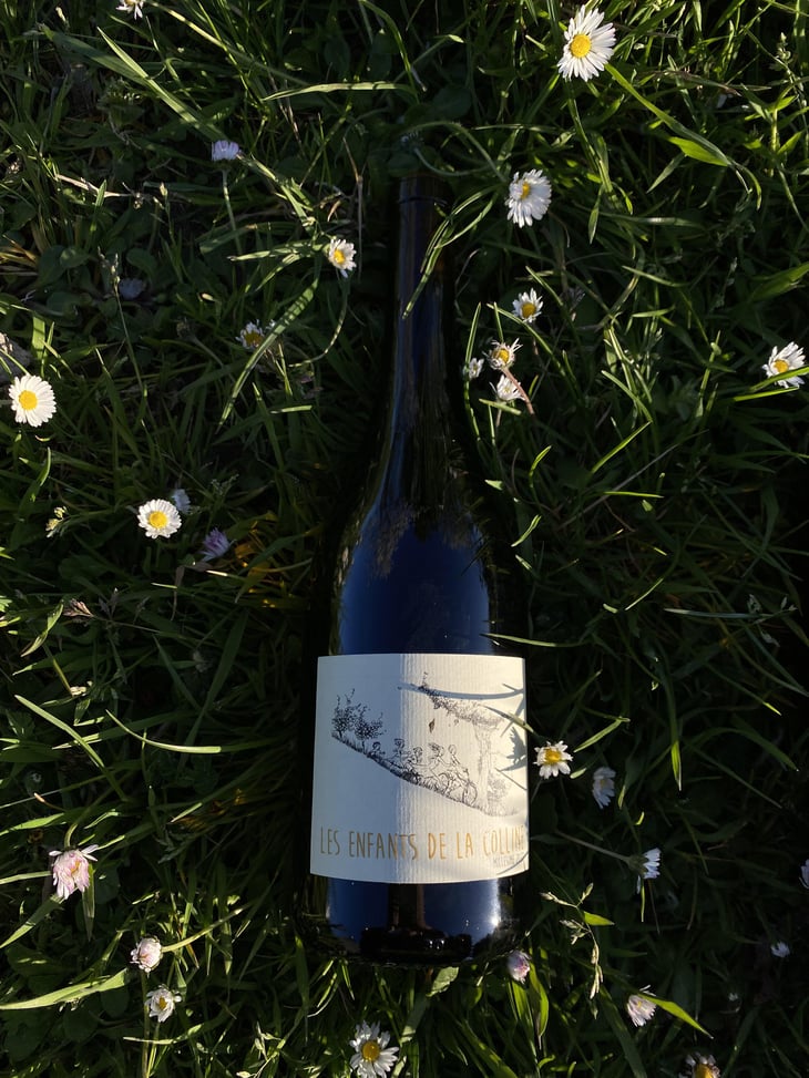 Les Enfants de la Colline - BISCORNUS - Nicolas Perrin -2022