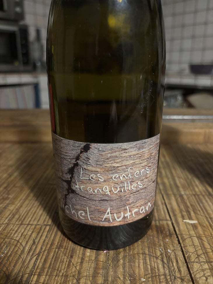 Les Enfers Tranquilles - Michel Autran - Michel Autran 