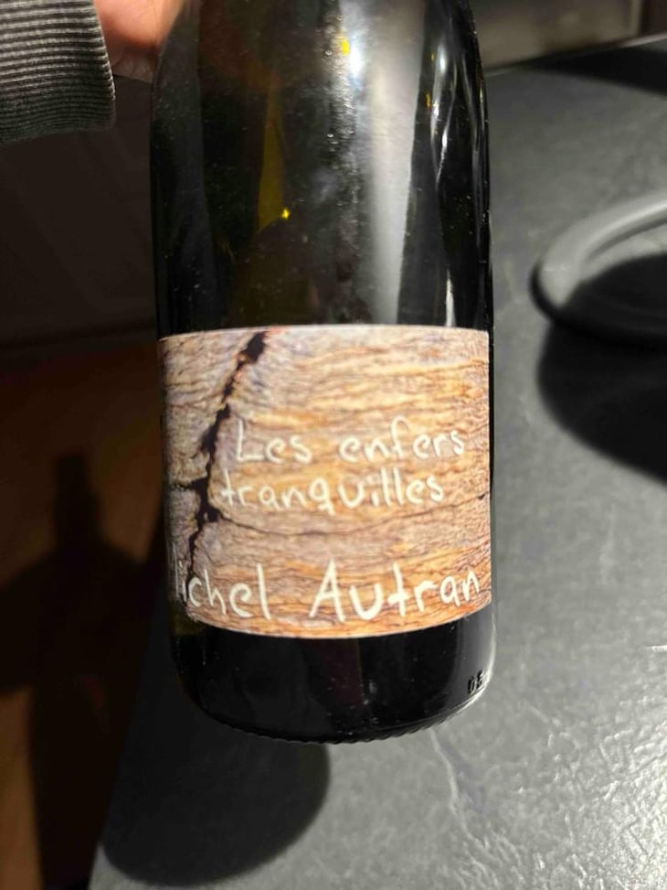 Les Enfers Tranquilles - Michel Autran - Michel Autran 
