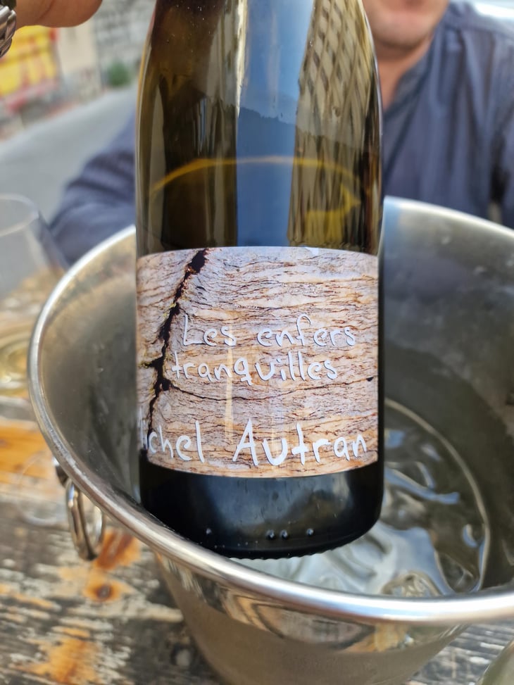 Les Enfers Tranquilles - Michel Autran - Michel Autran 
