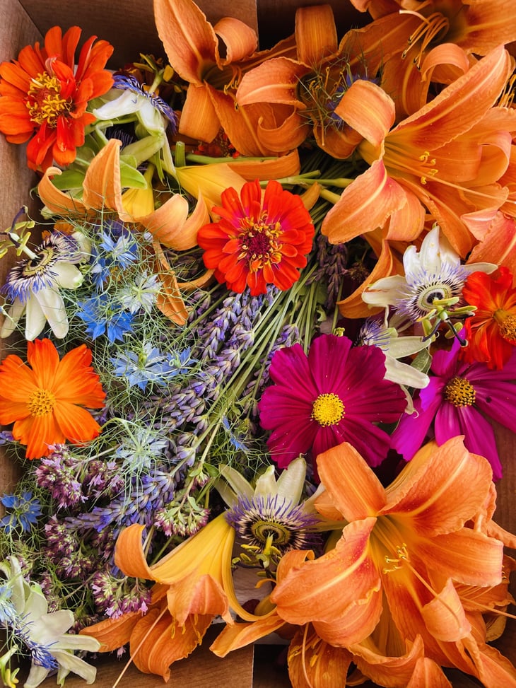 Les Fleurs Dans Vos Assiettes - Auberge des trois ami.es - 1363575