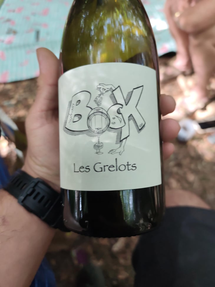 Les Grelots - Sylvain Bock - Sylvain Bock 