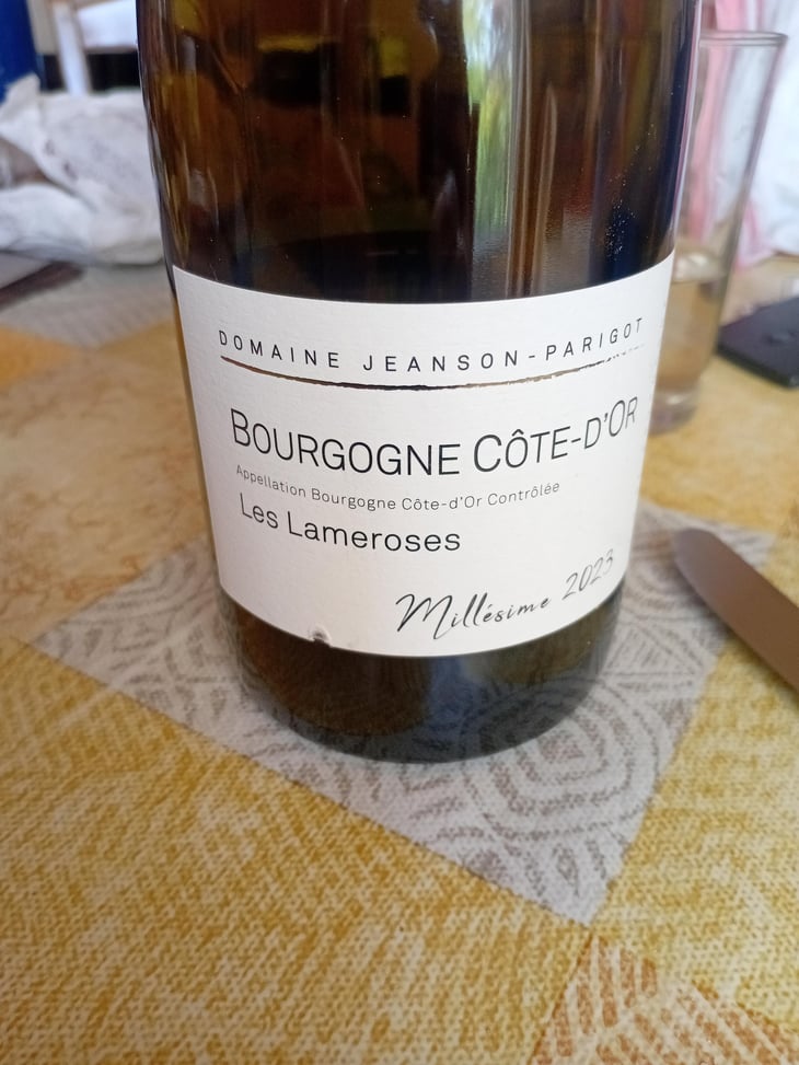 Les lameroses - Domaine Jeanson-Parigot - Jeanson Parigot -2023