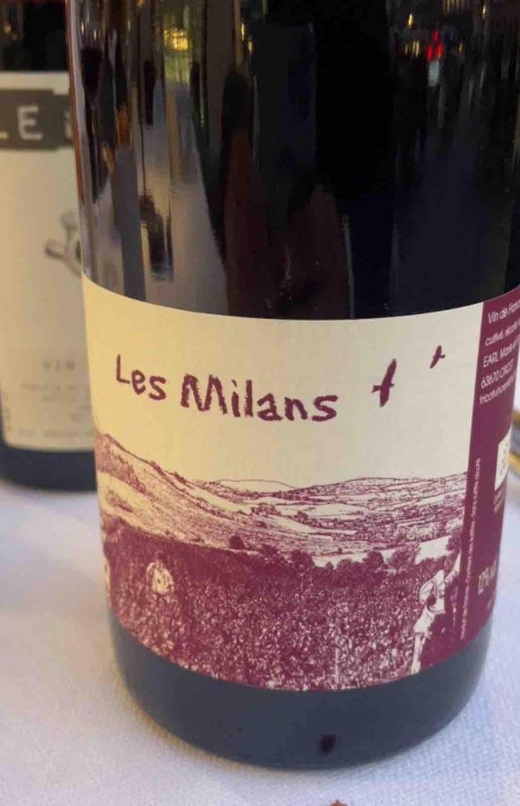 Les Milans - Marie et Vincent Tricot - Vincent et Marie Tricot 