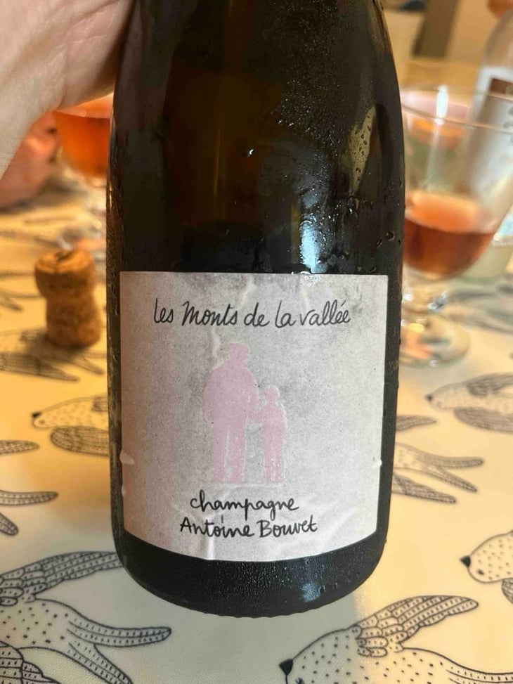 Les Monts De La Vallée - Champagne Antoine Bouvet - Antoine Bouvet -2015