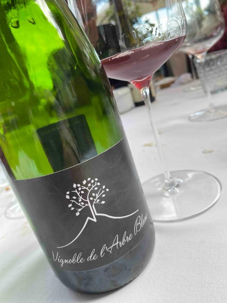 Les Orgues - Domaine de l'Arbre Blanc - Frédéric Gounan 