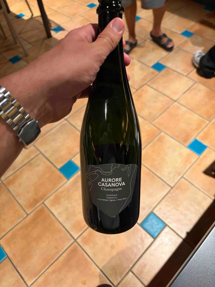 Les Petites Vignes - Aurore Casanova - Aurore Casanova -2023