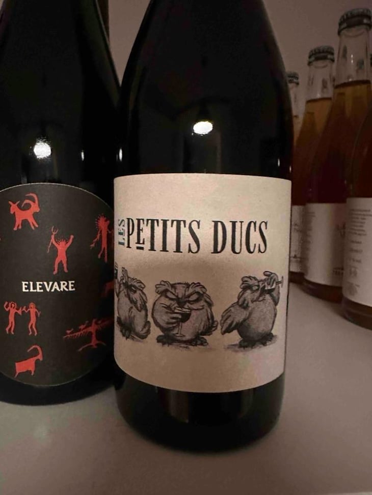 Les Petits Ducs - Domaine Grand Veneur - Alain Jaume -2020