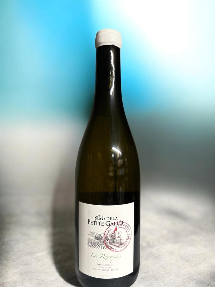 Les Rescapées - Clos de la petite Gallée - Pierre Thollet -2022