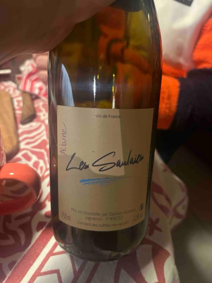 Les Saulaies - Damien Bureau - Damien Bureau -2022