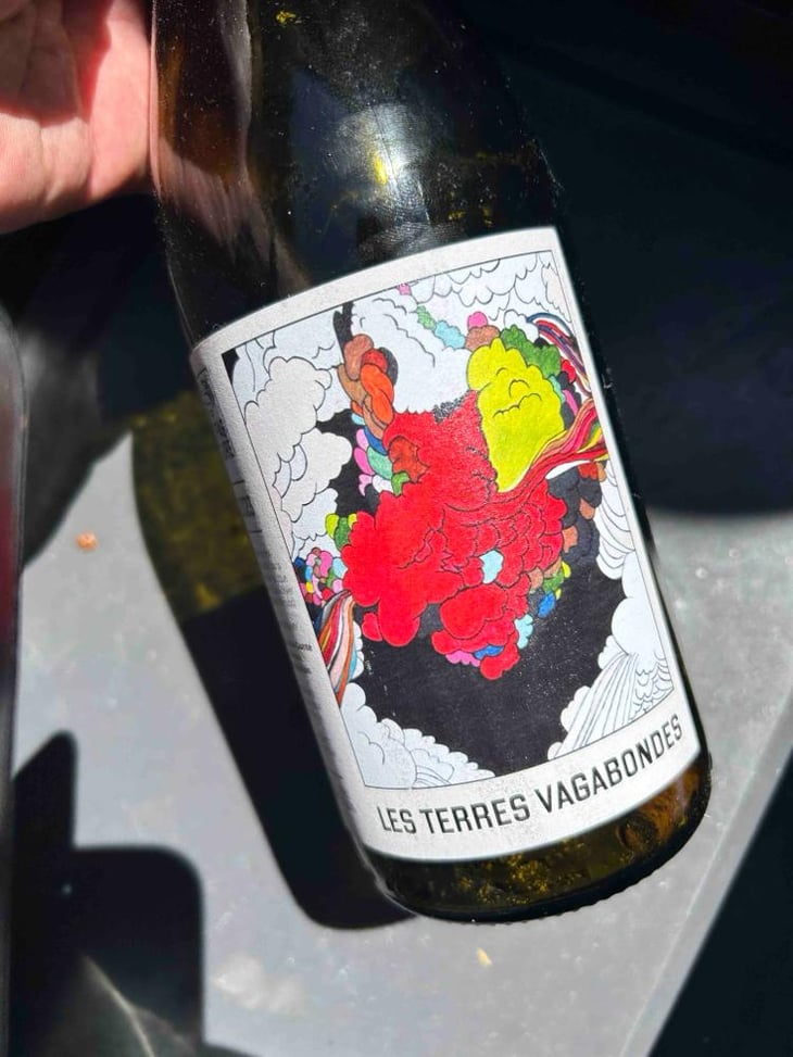 Les Terres Vagabondes - Le vignoble du Pagure - Hugo Courvoisier 