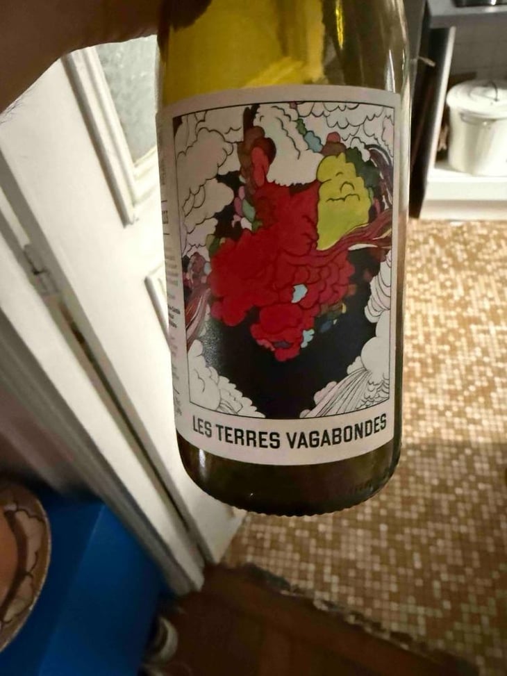 Les Terres Vagabondes - Le vignoble du Pagure - Hugo Courvoisier 