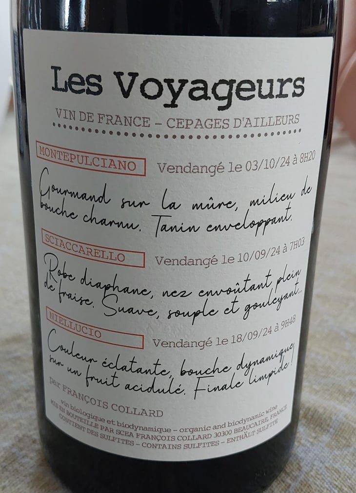 Les Voyageurs - François Collard - François Collard -2024