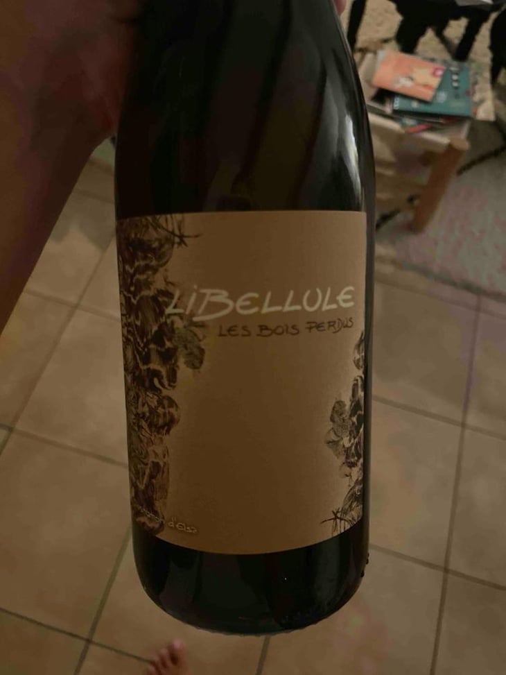 Libellule - Les Bois Perdus - Léna Perdu & Alexis Robin -2021