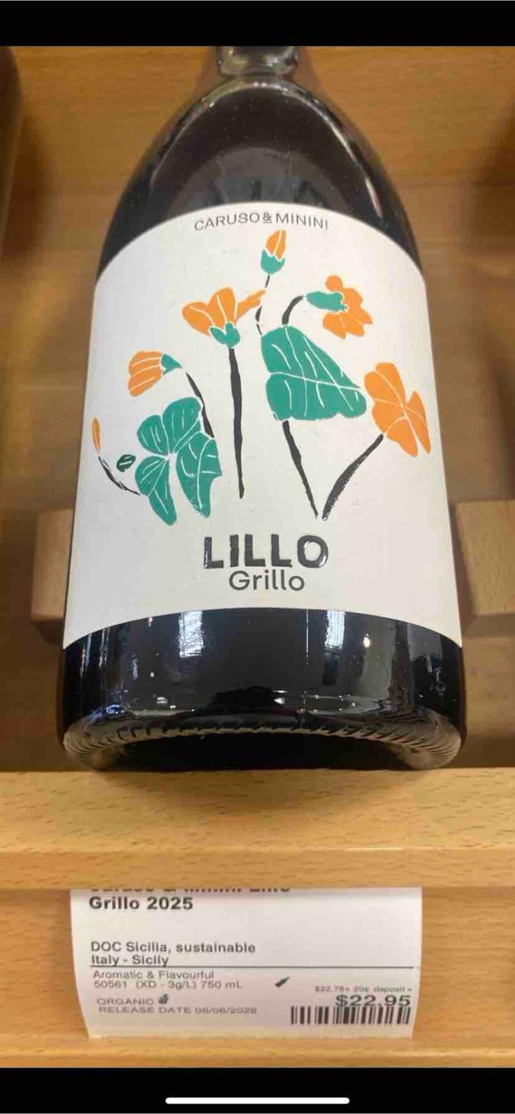 Lillo Grillo - Caruso and Minini - Giovanna Caruso -2025