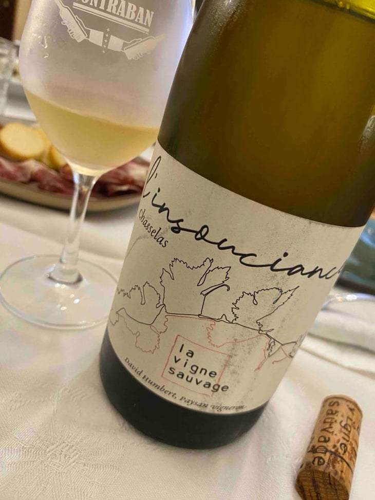L'Insouciance - La Vigne Sauvage - David Humbert 