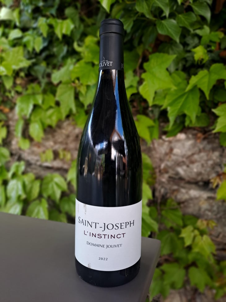 L'Instinct - Domaine Jolivet - Bastien Jolivet 