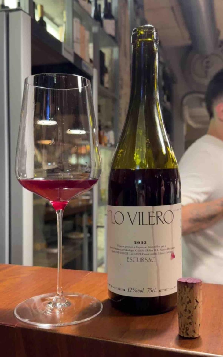 Lo Vilero - Sistema Vinari - Eloi Cedó Perelló 