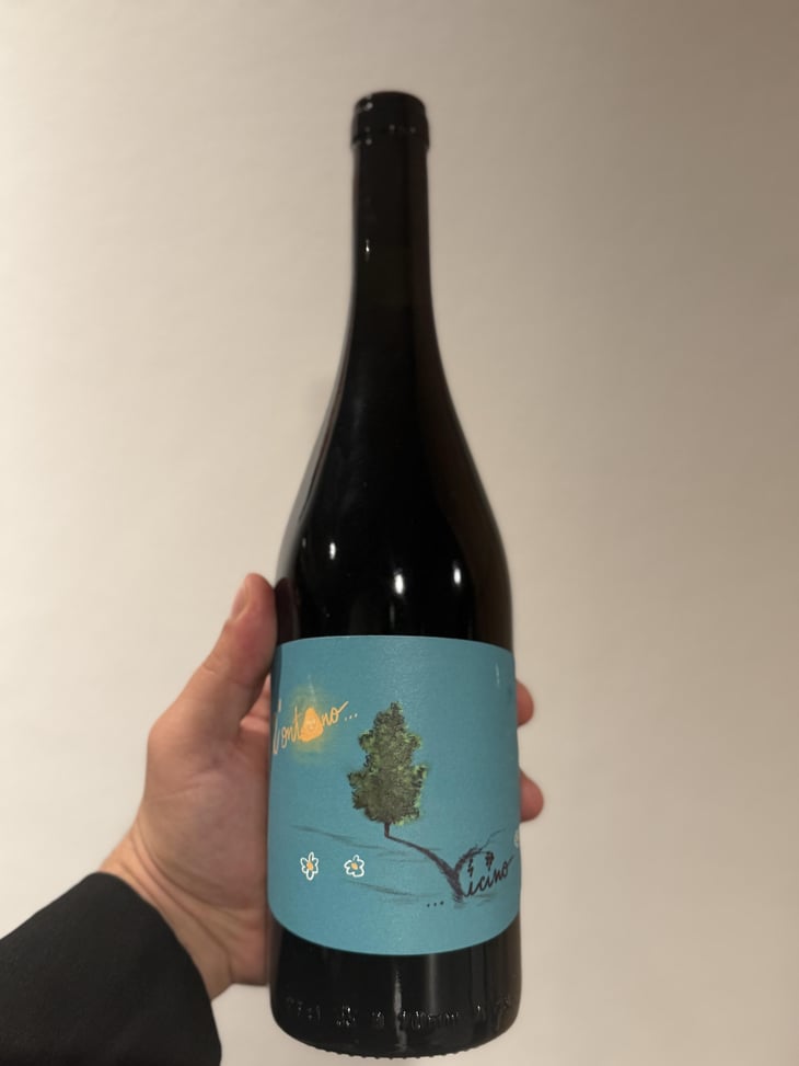 Lontano Vicino - Panevino - Gianfranco Manca -2024