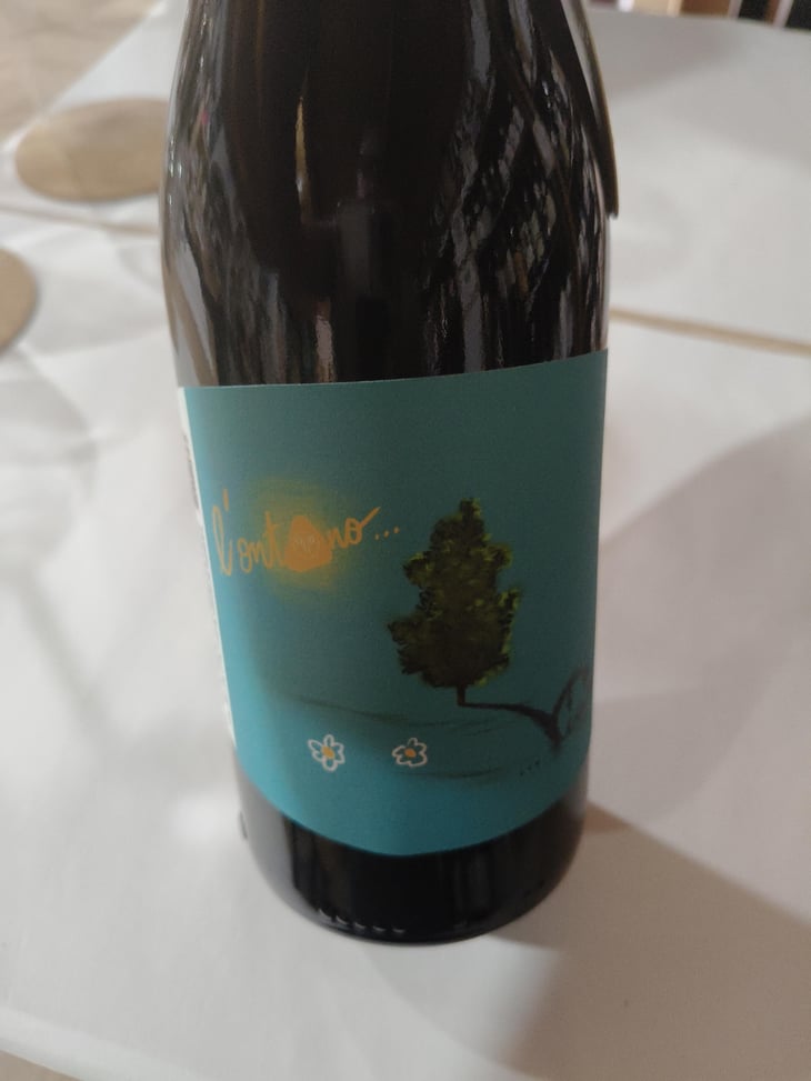 L'Ontano Vicino - Panevino - Gianfranco Manca -2024