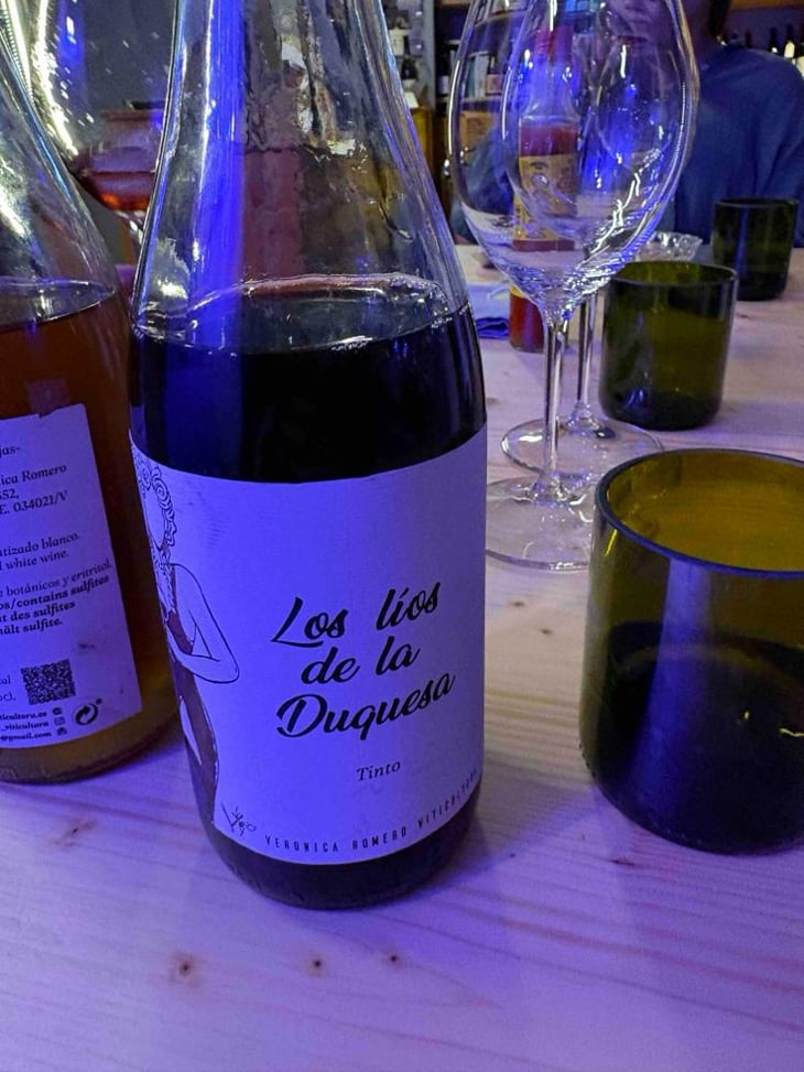 Los lios de la duquesa tinto - Veronica romero - Veronica Romero -2024