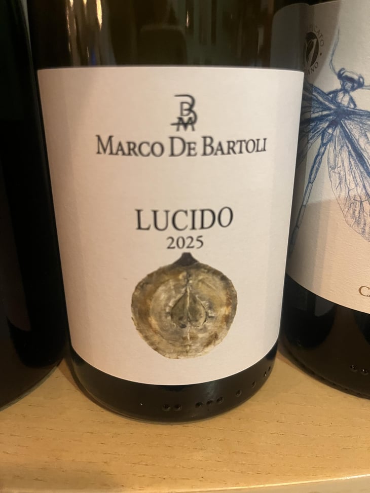 Lucido - Marco De Bartoli - Marco De Bartoli 