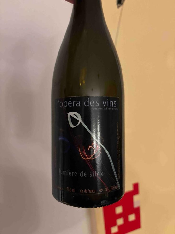 Lumière de Silex - Les Vignes de l'Angevin - Jean-Pierre Robinot 