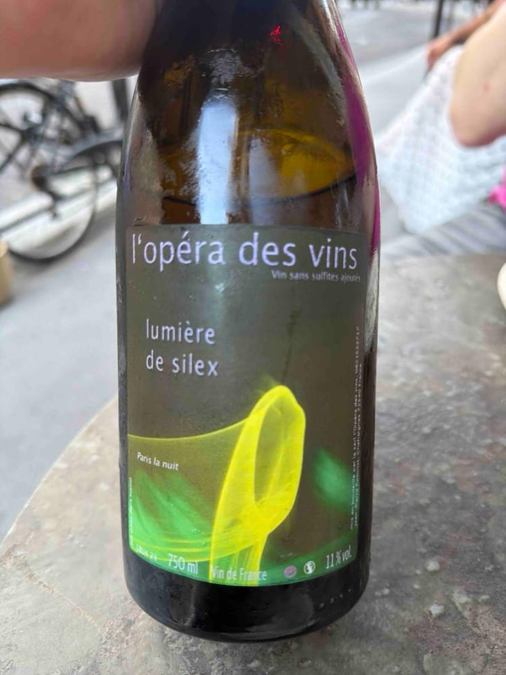 Lumière de Silex - Les Vignes de l'Angevin - Jean-Pierre Robinot 