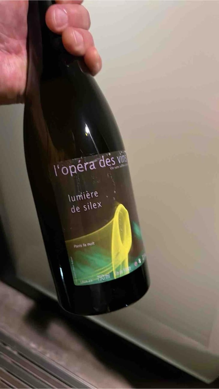Lumière de Silex - Les Vignes de l'Angevin - Jean-Pierre Robinot 