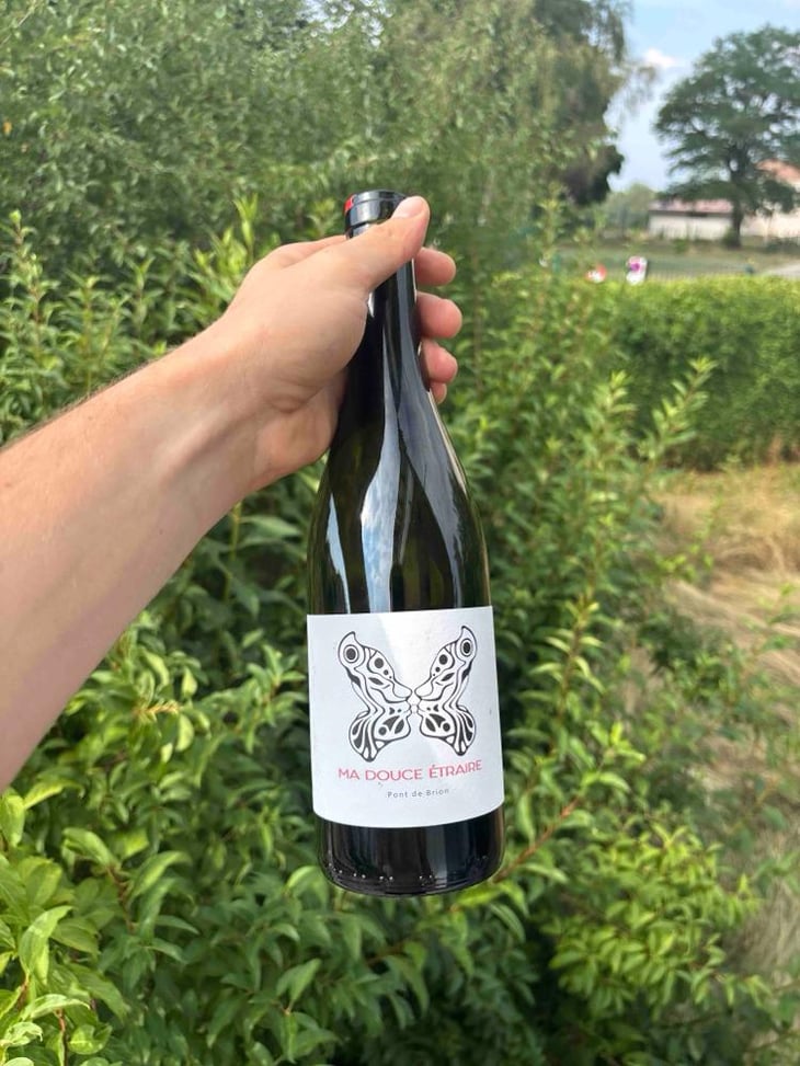 Douce Noire - Domaine Jeremy Bricka - Vins Naturels D'Alp'titude - Jeremy Bricka 
