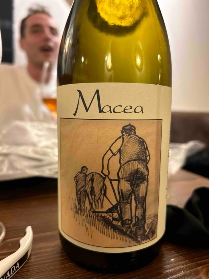 Macea - Azienda Agricola Macea - Cipriano & Antonio Barsanti -2021