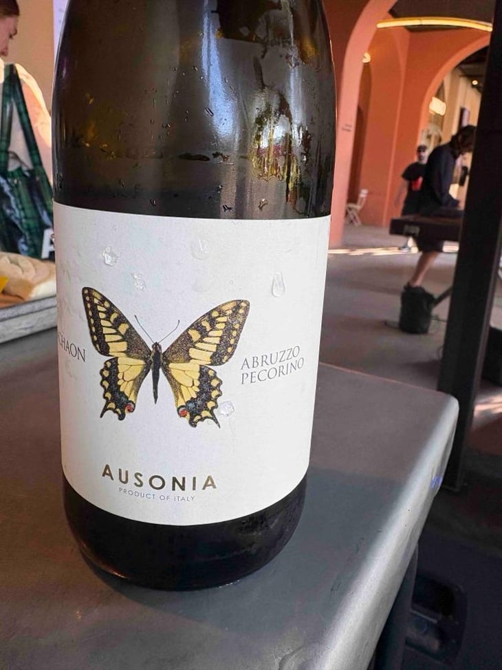 Machaon - Ausonia - Simone Binelli 