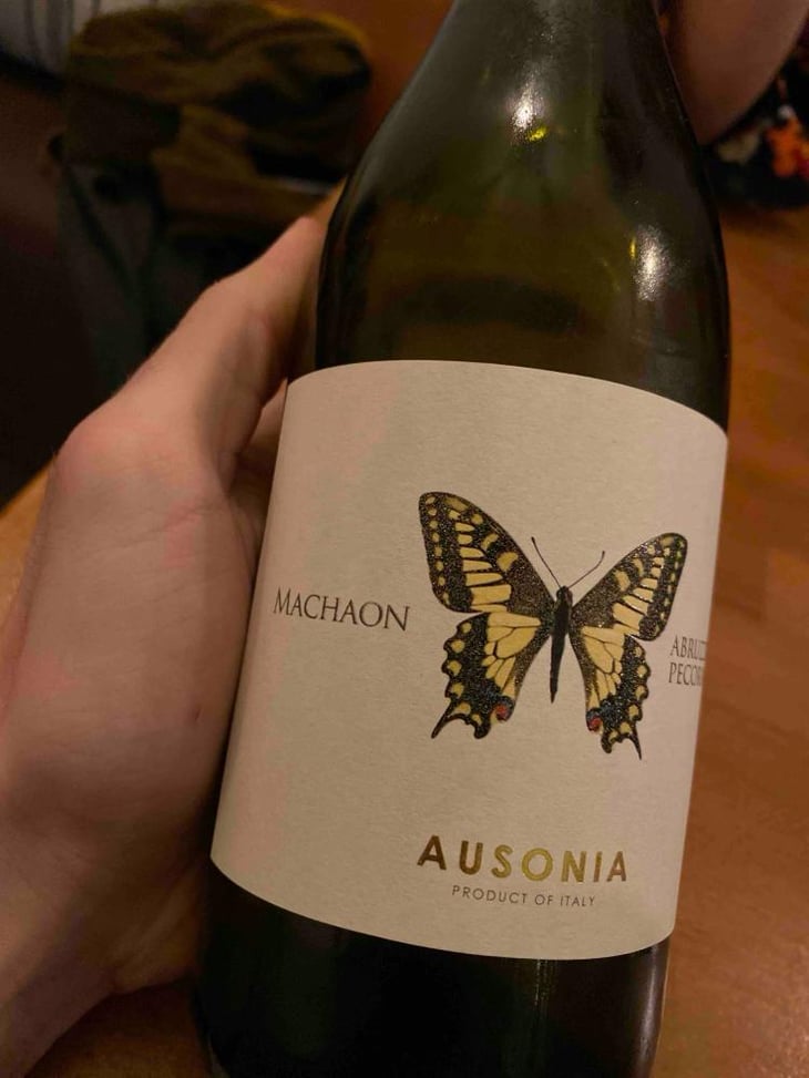 Machaon - Ausonia - Simone Binelli 