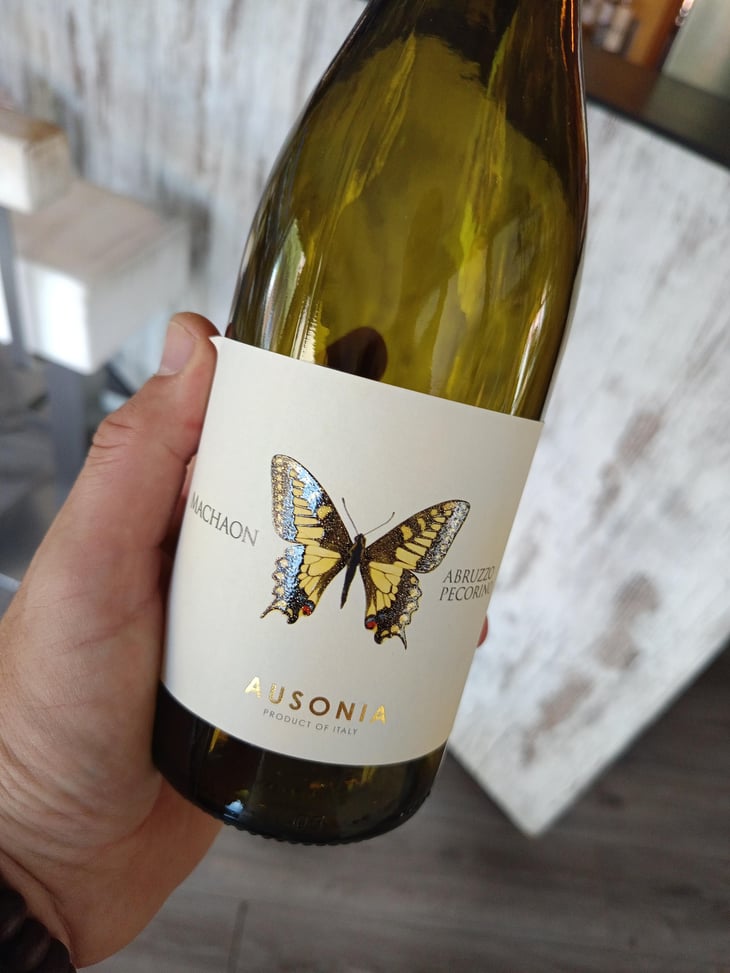 Machaon - Ausonia - Simone Binelli 