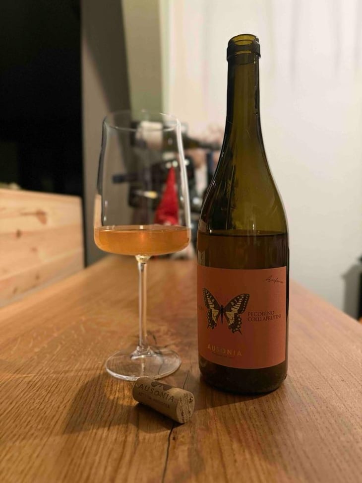 MACHAON PECORINO ANFORA - Ausonia - Simone Binelli -2024