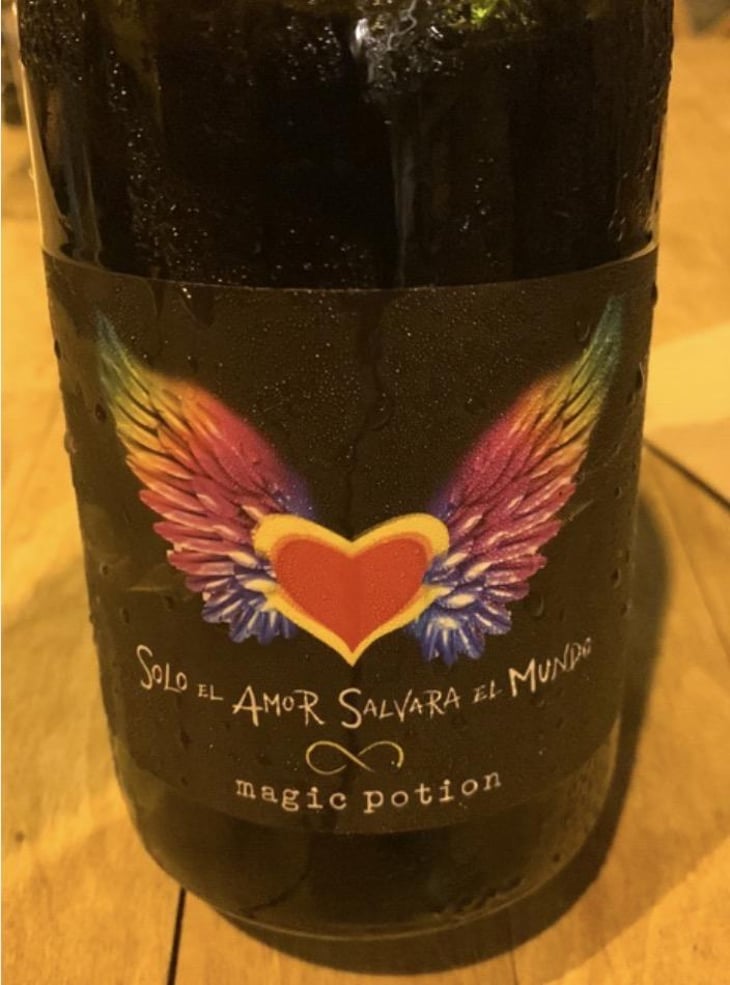 Magic Potion - Solo El Amor Salvara Al Mundo - Pablo Quiroga 