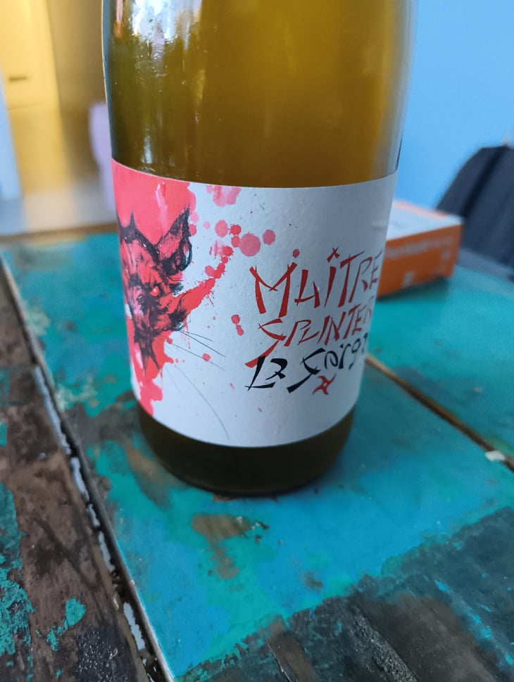 Maître Splinter - La Sorga - Antony Tortul 