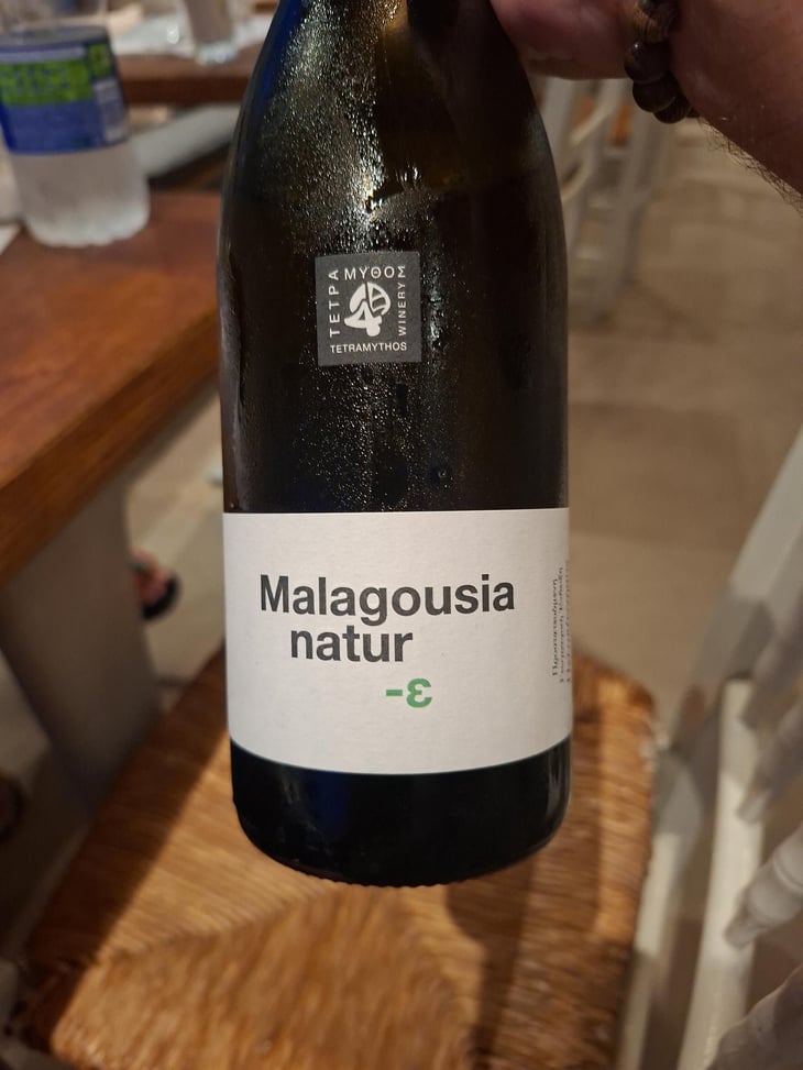 Malagousia Natur - Tetramythos Winery - Τετράμυθος - Panos Papayiannopoulos, Aristos Spanos, Eustatius Spanos 