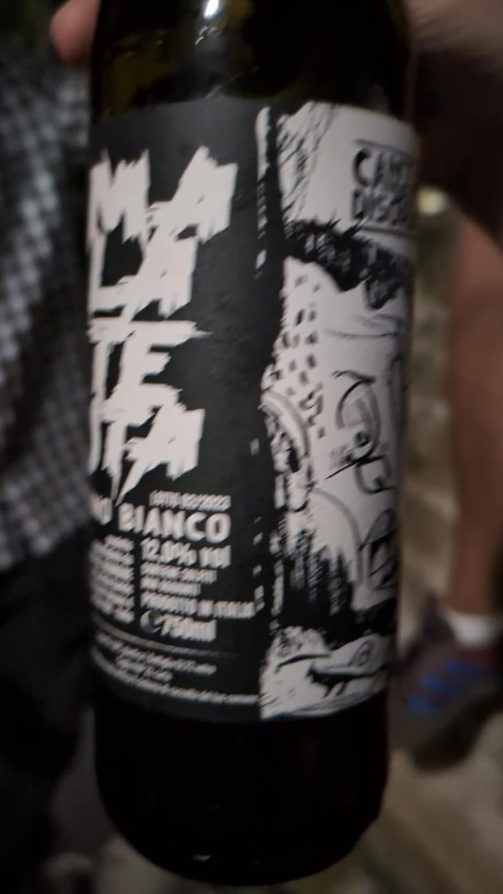 Malatesta - Cantina Del Disordine - Davide Picariello 