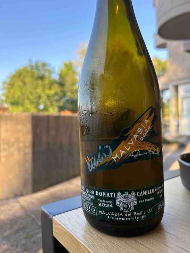 malvasia - Camillo Donati - Camillo Donati 