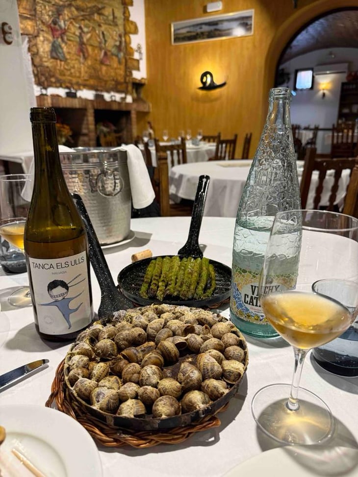 Malvasia - Celler Tanca Els Ulls - Francesc Boronat Fernandez 