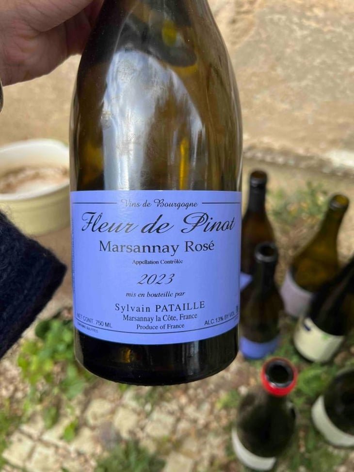 Marsannay "Fleur de Pinot" Rosé - Sylvain Pataille - Sylvain Pataille 