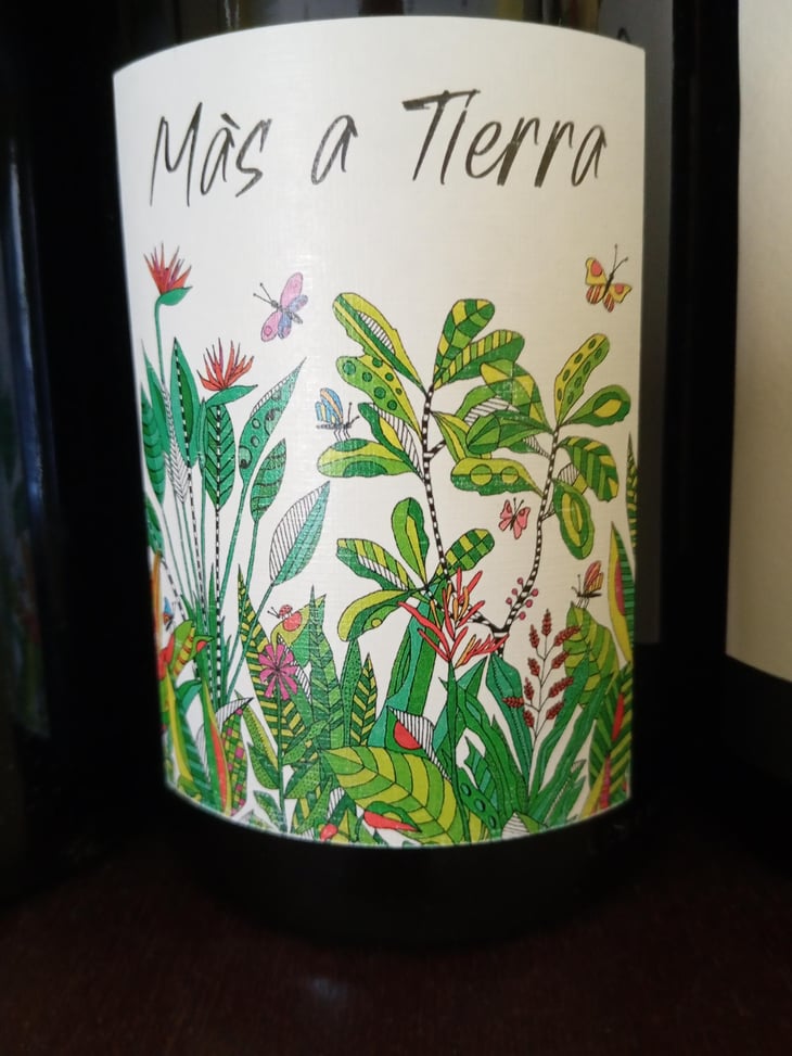 Mas a Tierra - Domaine de la Petite Empreinte - Mélissa Bazin & Romain De Moor -2022